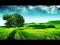 Great Tune Enjoy :) I Hope They Throw...