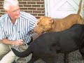 rednose.html