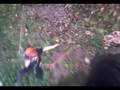 swinging arborists
