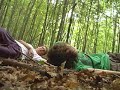 fnd films   cryptozoology