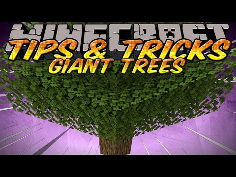 how to grow a big tree in minecraft xbox