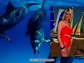 Miss Germany 2009 Bikinizone