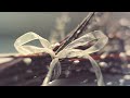Click here to watch this video Smote - My Bitter Tears [FREE]