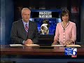 Jaguar Vs. Eagle Mascot  Funny News Story