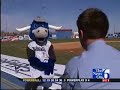 Jaguar Vs. Eagle Mascot Funny News Story Jaguar Vs. Eagle Mascot Funny News Story