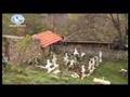 Kosovo-Metohija. 1998-2003. Part 1/2