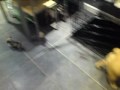 MOV01000.MP4