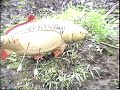 Blackfeather archery 3D shoot part 3