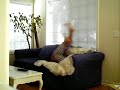 sofa sofa