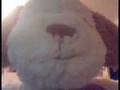 videos de Phillip