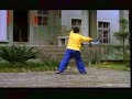 Bagua Dandao Bagua Dandao