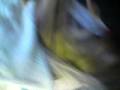 MOV00586,,