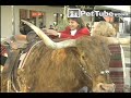 Funniest Pets  People brings you...