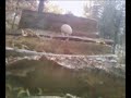 egg shooting