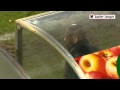 Samenvatting Helmond Sport - RBC Roosendaal