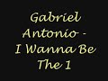gabriel antonio   i wanna be the one  with lyrics 