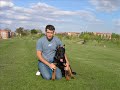 Aquiles el beauceron
