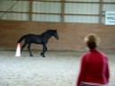 Zeppelin at Painted Acres