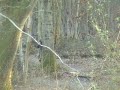 Airsoft at Elite Action Games - shot 3