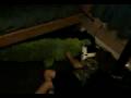 videos de the crocodile molester