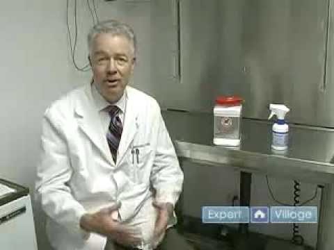 how to treat fleas on dogs