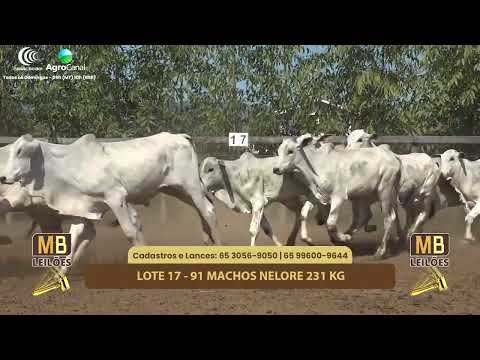 519 LEILO VIRTUAL MB LEILES