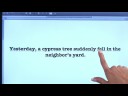 Adjectives are used to describe nouns and pronouns, while adverbs are used to describe verbs and other adverbs. Discover when to use modifiers and what suffixes signify adverbs, withhelp from a certified tutor in this free video on grammar in the English language. Expert: Paige Carrera Bio: Paige Carrera is a certified tutor for both Hillsborough and Pinellas Counties in the Tampa Bay area of Florida. Filmmaker: Christopher Rokosz