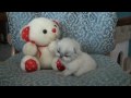 Little Cutesy Kitten - Support you local Animal Shelter