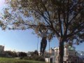 Treino em Almada