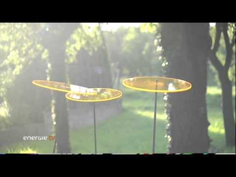 Sonnenfänger - Ein Stimmungsaufheller