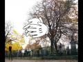 videos de Avoid The Clap Campaign - Catrin Griffiths.avi