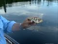This video was shot in 2008 near Cedar Lake Lodge fishing with Bob Mehsikomer from Simply Fishing. Bob had just caught a nice musky, and then asked Larry Murphy to run the trolling motor while he put on some new hooks. Next cast, Larry catches a 40