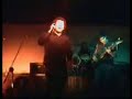 Viejo Perro - No puedo quitar mis ojos de ti Manele-Gratis.net
