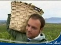 Viña Real, Bodegas CVNE