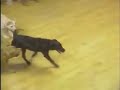 See video