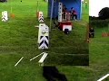 FourPaws Flying Flyball team @ The Chilterns Show