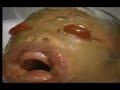 NI�O EXTRATERRESTRE O_O