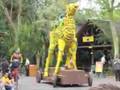 Animal Kingdom