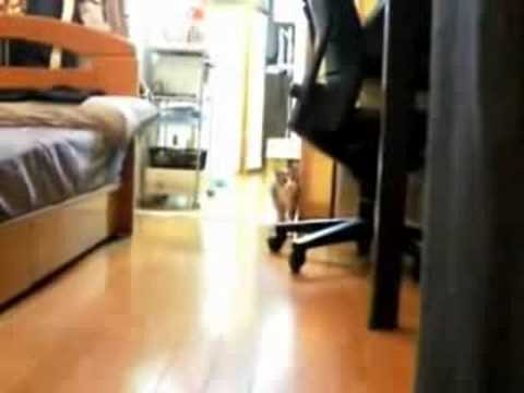 A Pantera Cor Rosa (Cinzenta)