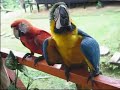 a week in leticia and puerto narino in amazonas, colombia