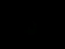 123.wmv