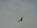 BUZZARDS of BROOKPARK OHIO