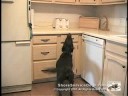 Complex Tasks Assistance - Retreiving Items From Drawers