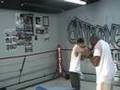 Mitt Training