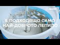 Play video