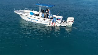 Tracking Black Tip Sharks