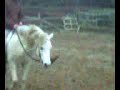 Une petite cariere jeu a cheval? Une petite cariere jeu a cheval?