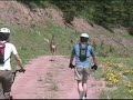 Diggler Mountain Scooter
