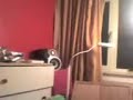 Realisten In De Studio