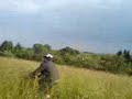 waitz im feld 2 waitz im feld 2